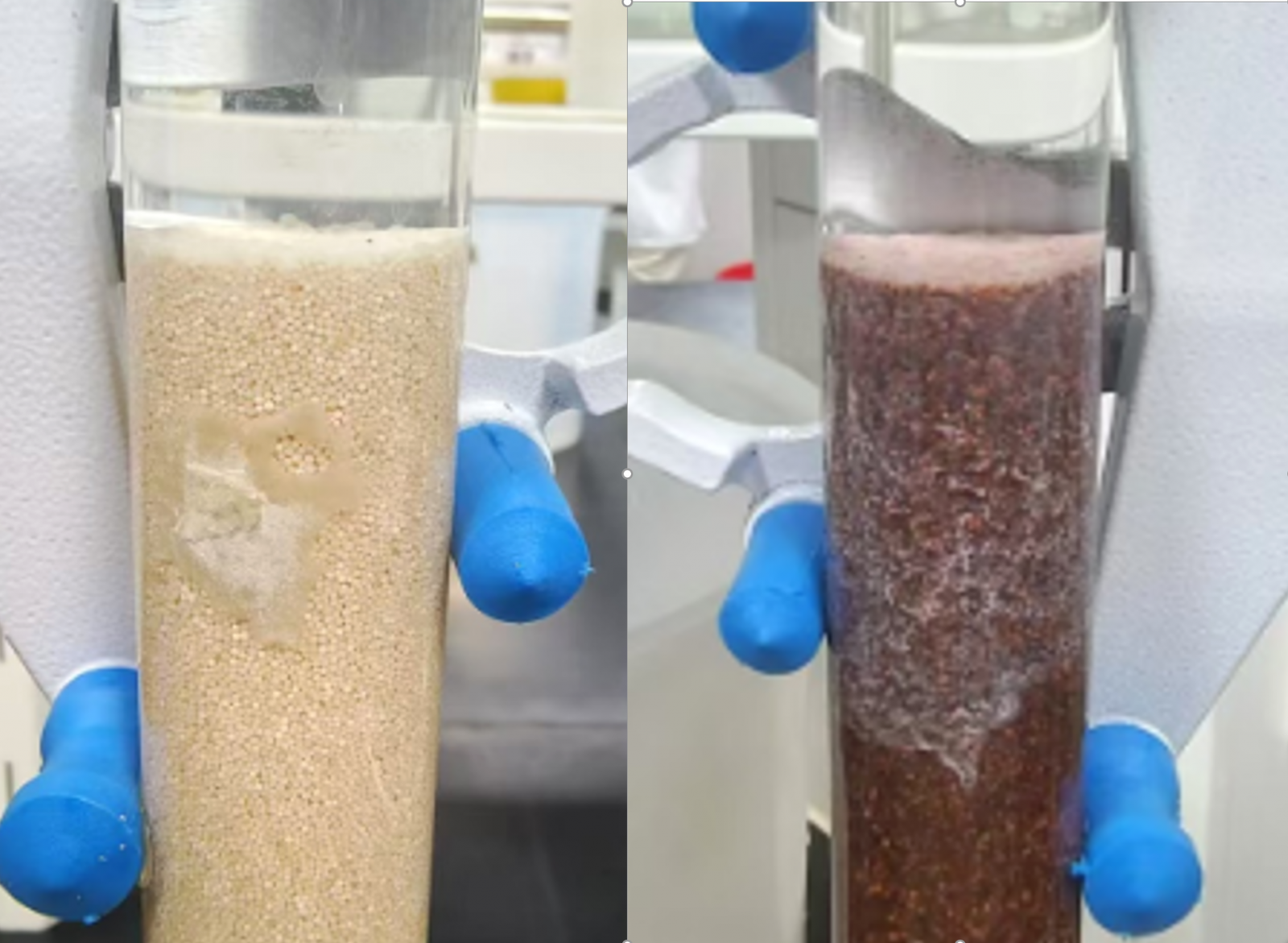 英国·威廉希尔(williamhill)唯一中文官方网站