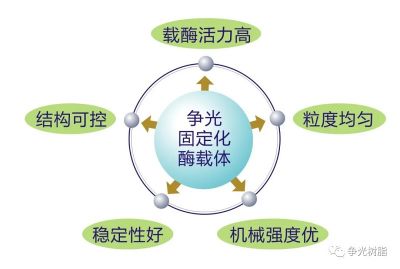 ϣַοøZhengguang immobilized enzyme carrier